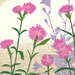 Mitsumi Takada Gallery